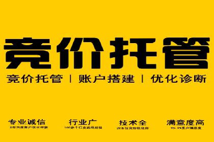 成功企业的SEM竞价优化经验与启示